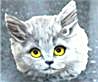 Thumbnail Portrait Paw Trait of Kit Cat Kid - Splashable Star of Original Rhyming Children's Poem Kit Cat Kid's Cause "fur" (Non-Compliant) Complaint - a comic verse about bath-time defiance 