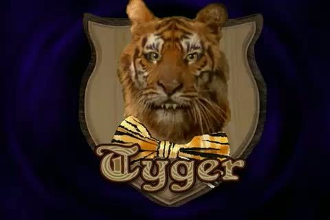 Tyger - 00003